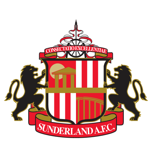 Sunderland flag Sunderland flag
